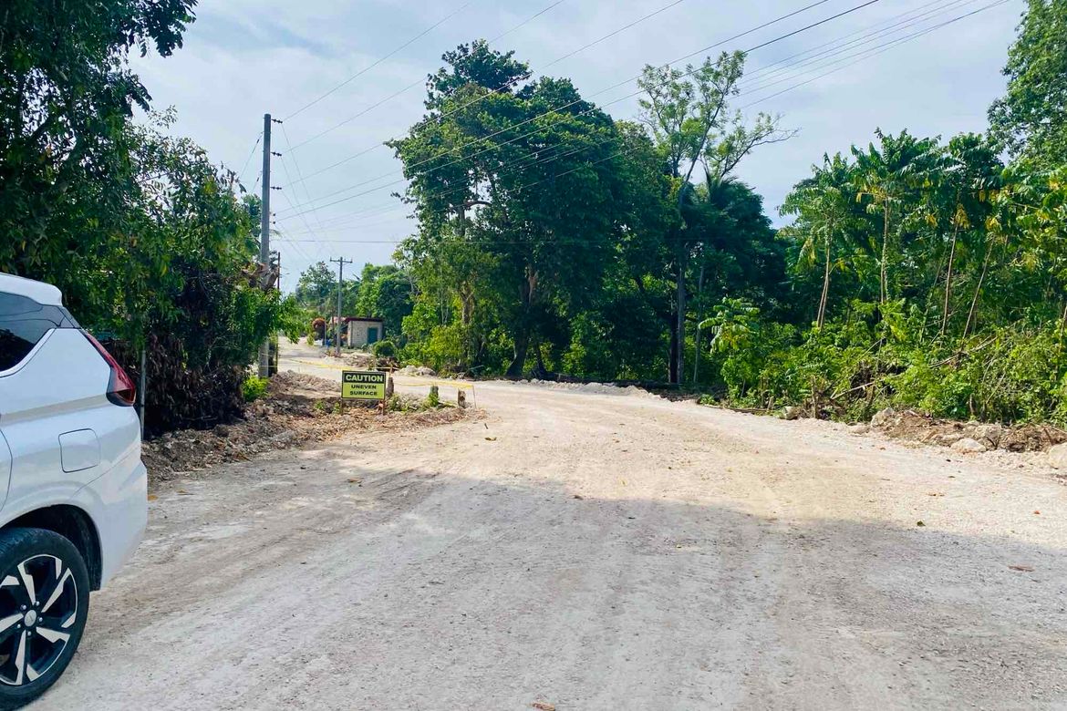 Land for Sale in Bingag, Dauis, Bohol – photo 3