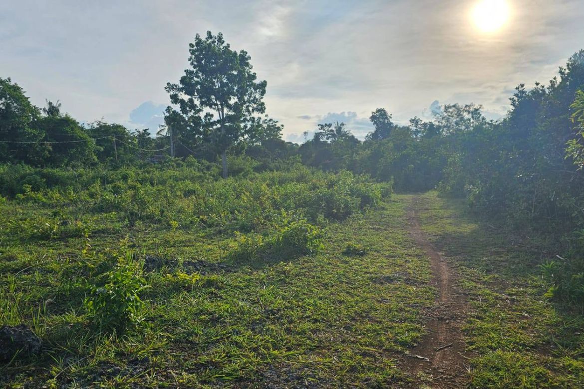 Land for Sale in Bingag, Dauis, Bohol – photo 5