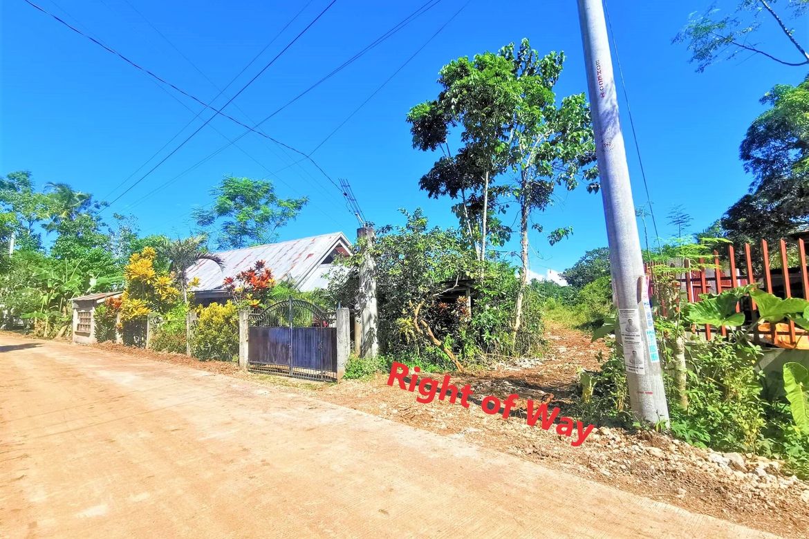 Land for Sale in Bingag, Dauis, Bohol – photo 3