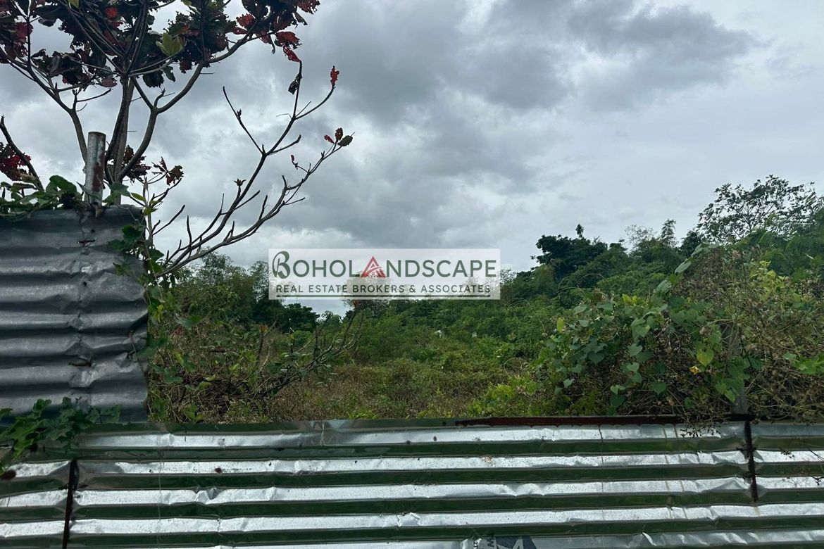 Land for Sale in Bingag, Dauis, Bohol – photo 2