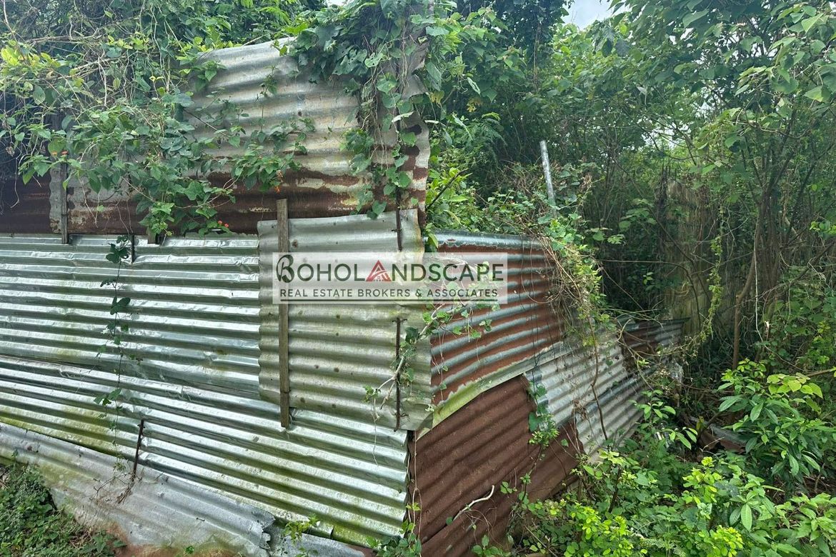 Land for Sale in Bingag, Dauis, Bohol – photo 5