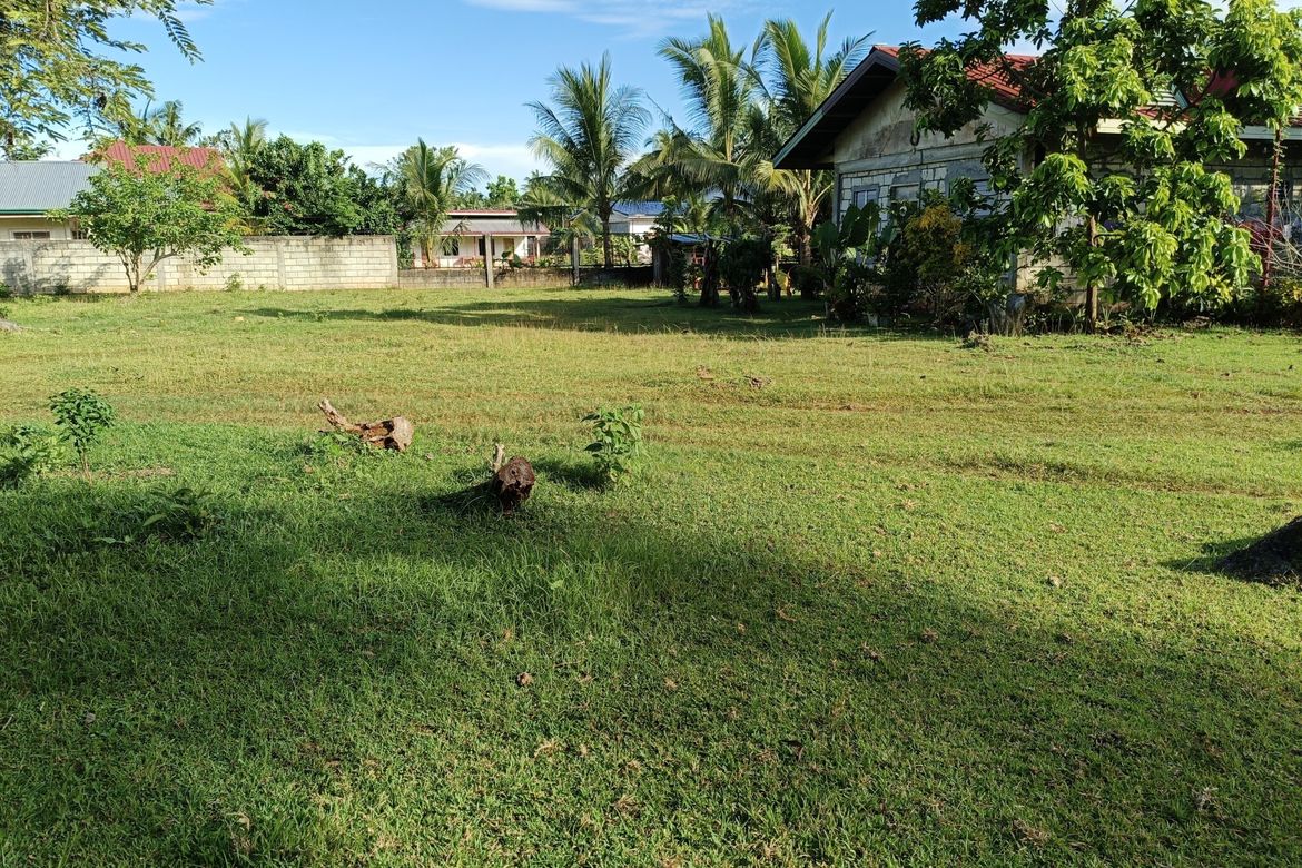 Land for Sale in Bingag, Dauis, Bohol