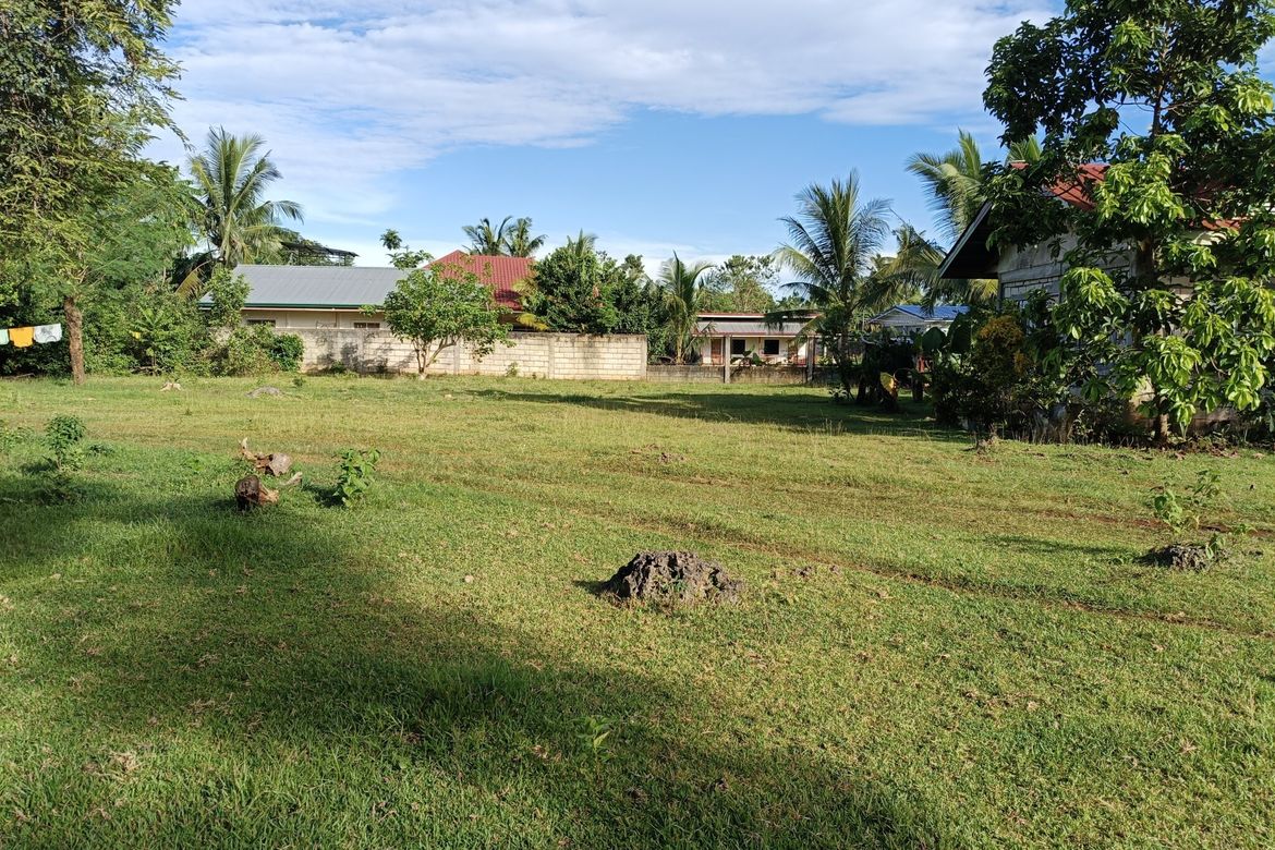 Land for Sale in Bingag, Dauis, Bohol – photo 2
