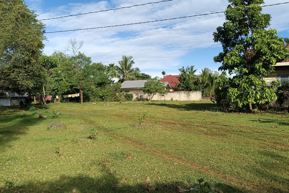 Land for Sale in Bingag, Dauis, Bohol – photo 3