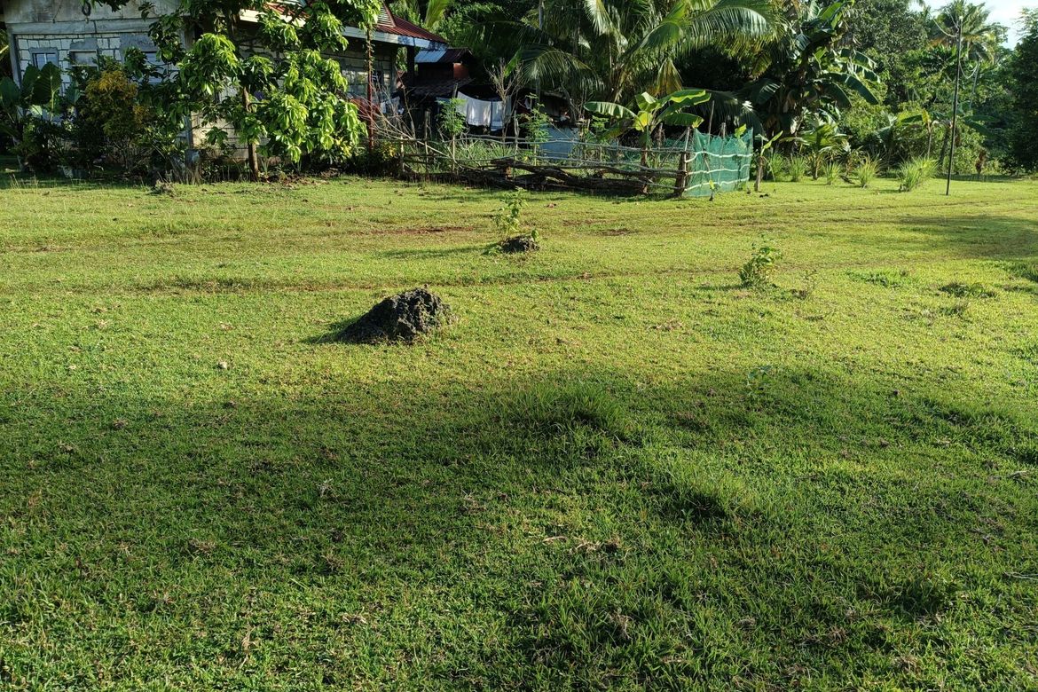 Land for Sale in Bingag, Dauis, Bohol – photo 5