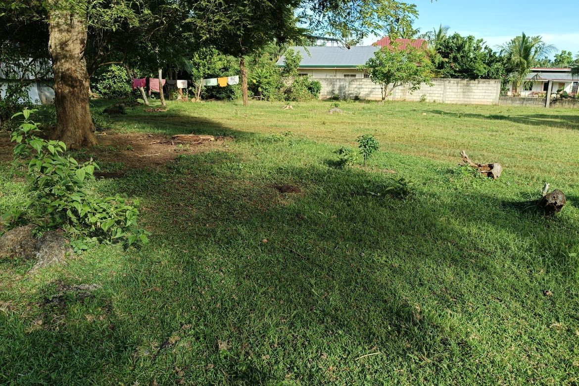 Land for Sale in Bingag, Dauis, Bohol – photo 6