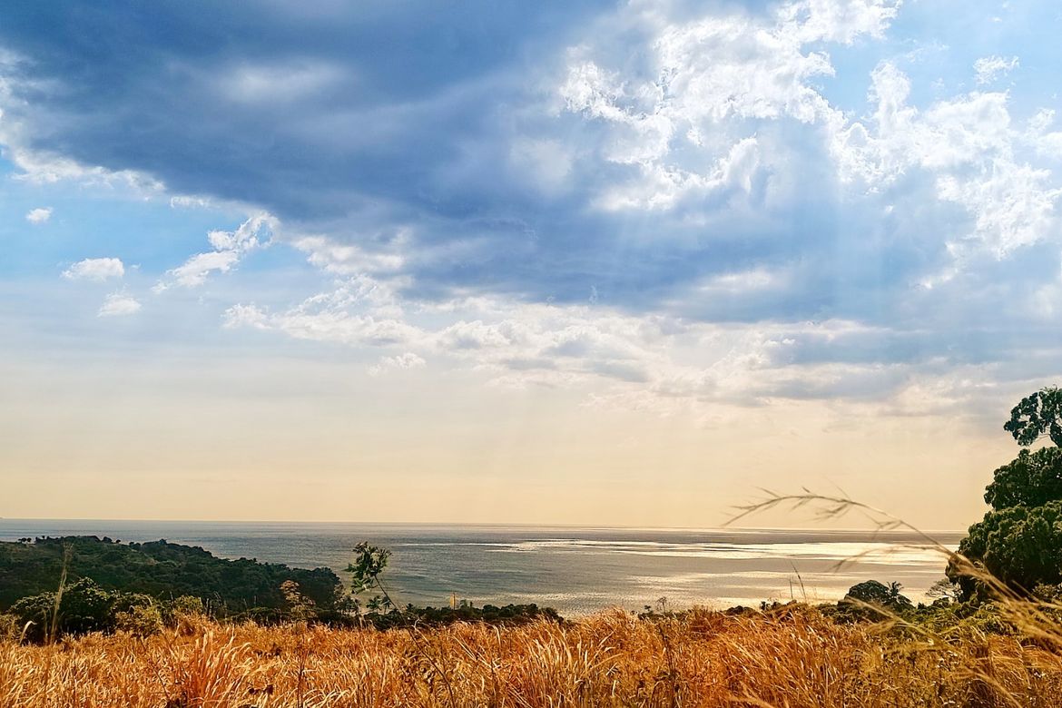 Land for Sale in Binuangan, Bagac, Bataan – photo 4