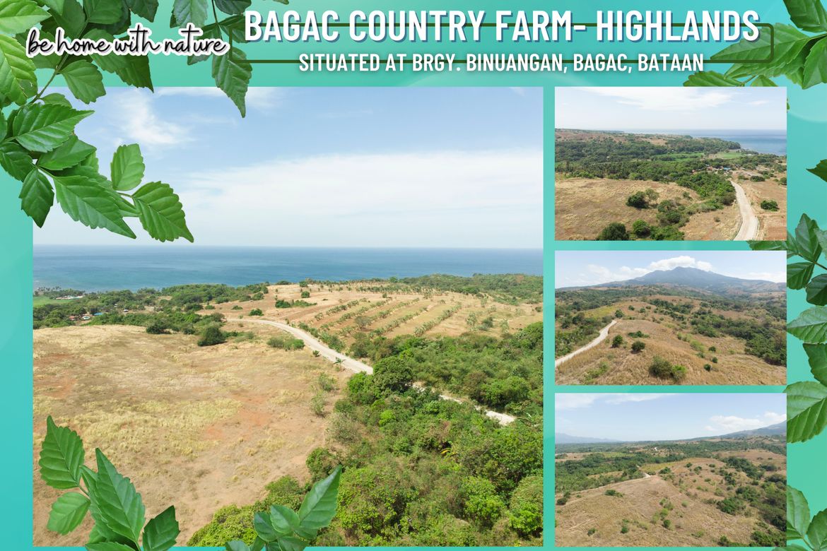 Land for Sale in Binuangan, Bagac, Bataan – photo 6