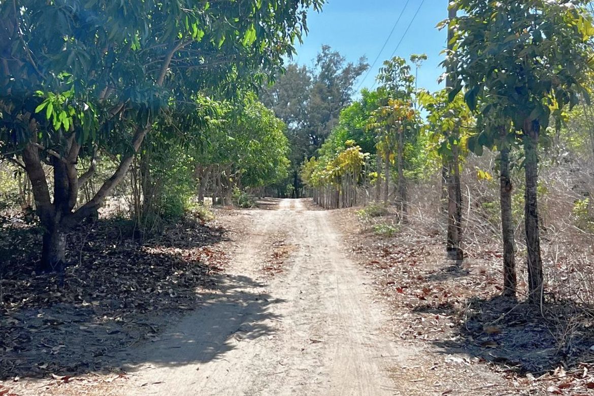 Land for Sale in Binuclutan, Botolan, Zambales – photo 7
