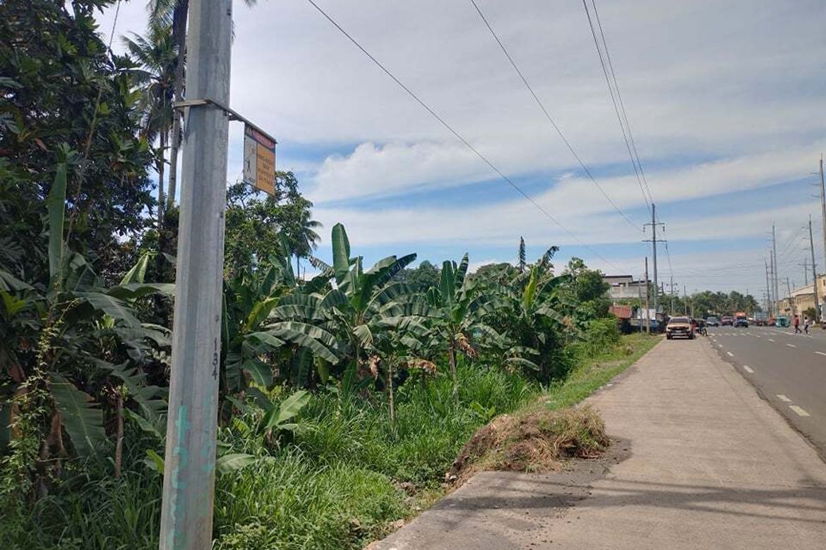 Land for Sale in Binugao, Davao City, Davao del Sur