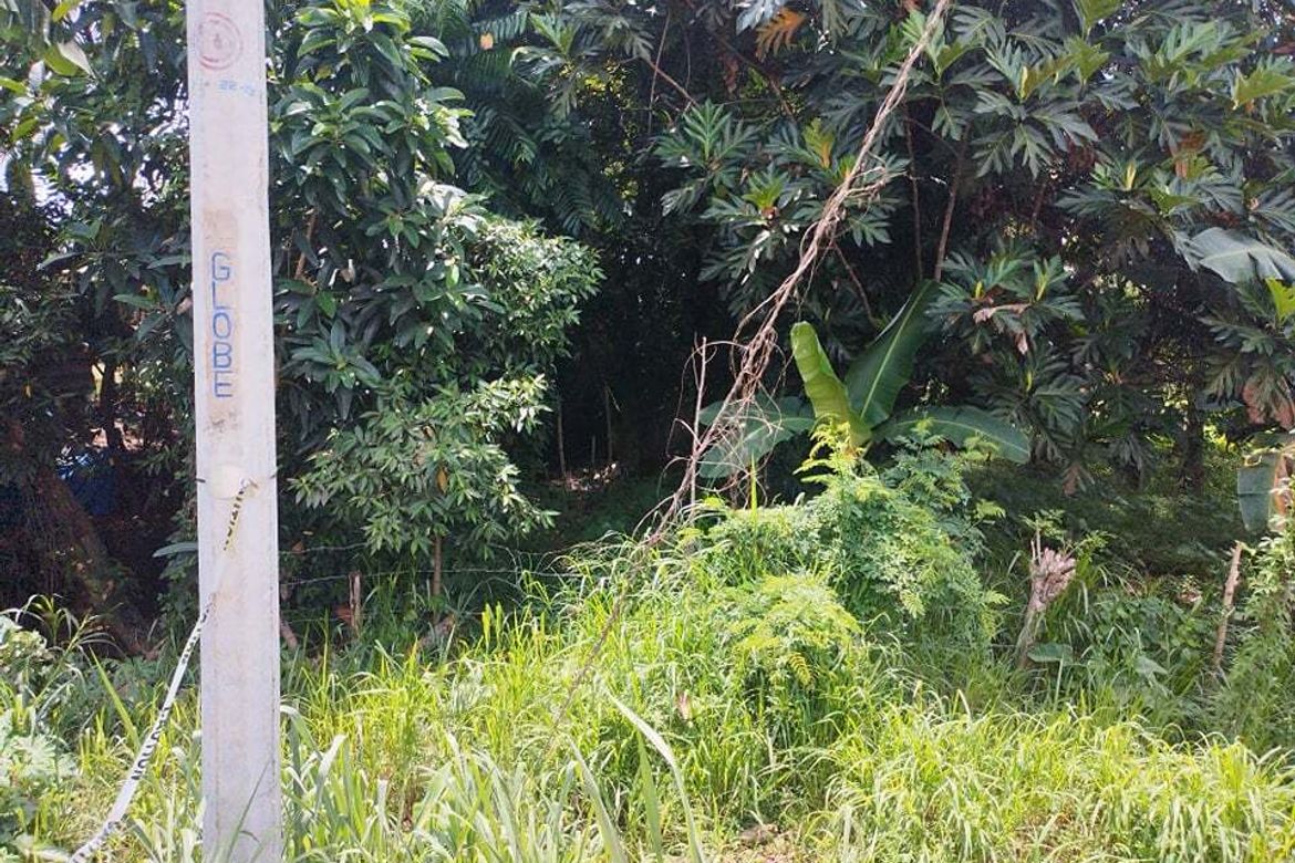 Land for Sale in Binugao, Davao City, Davao del Sur – photo 8