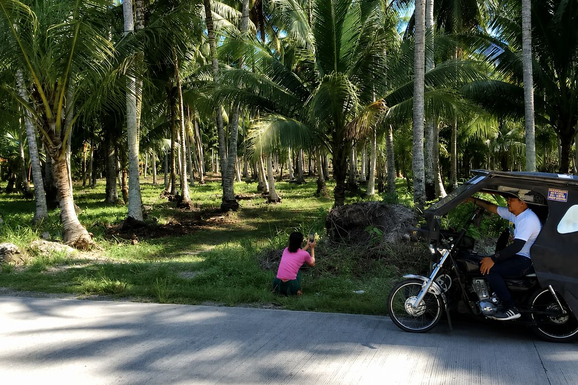 Land for Sale in Bobon, Mati, Davao Oriental – photo 6