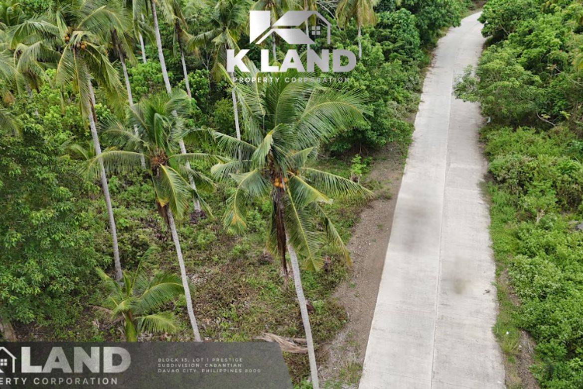 Land for Sale in Bobon, Mati, Davao Oriental – photo 2