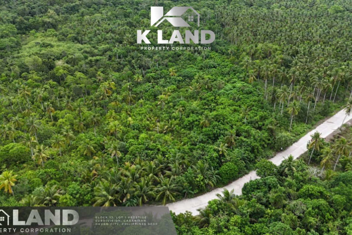 Land for Sale in Bobon, Mati, Davao Oriental – photo 3
