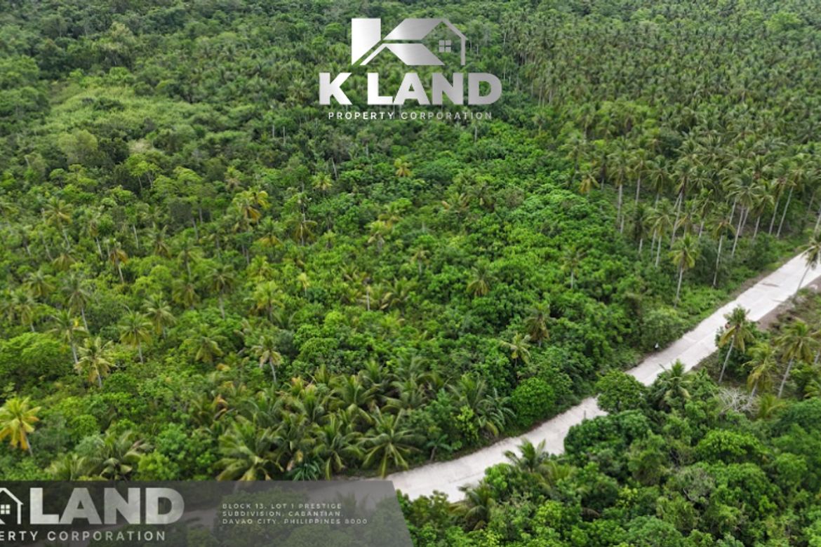 Land for Sale in Bobon, Mati, Davao Oriental – photo 4
