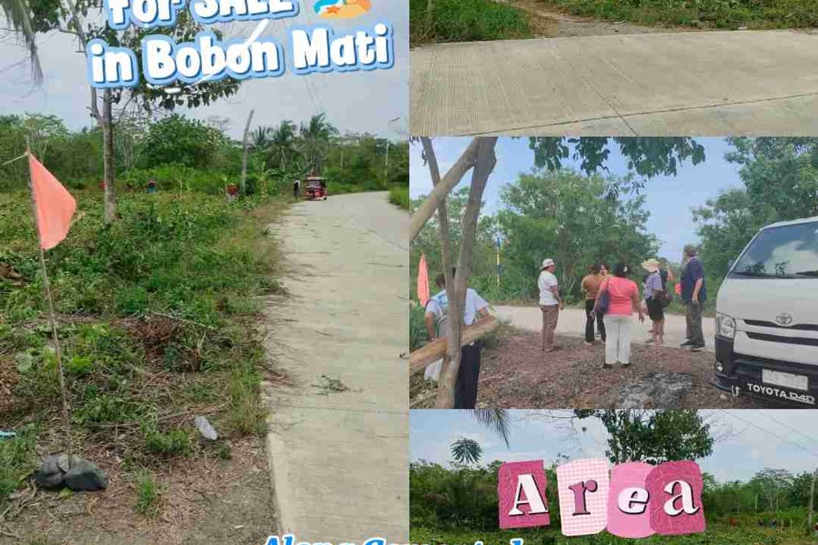Land for Sale in Bobon, Mati, Davao Oriental – photo 3