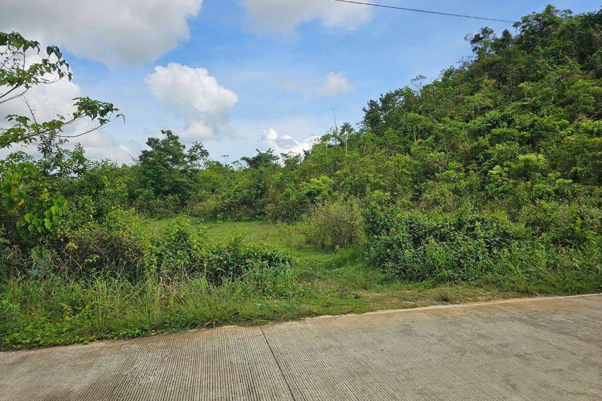 Land for Sale in Boctol, Balilihan, Bohol