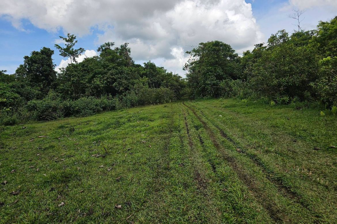 Land for Sale in Boctol, Balilihan, Bohol – photo 5