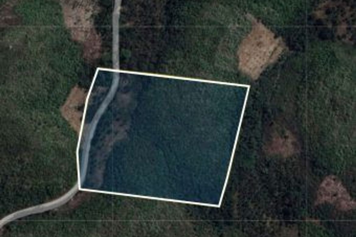 Land for Sale in Bog-O, Asturias, Cebu