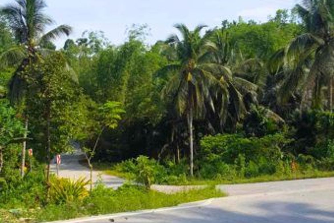 Land for Sale in Bog-O, Asturias, Cebu – photo 3
