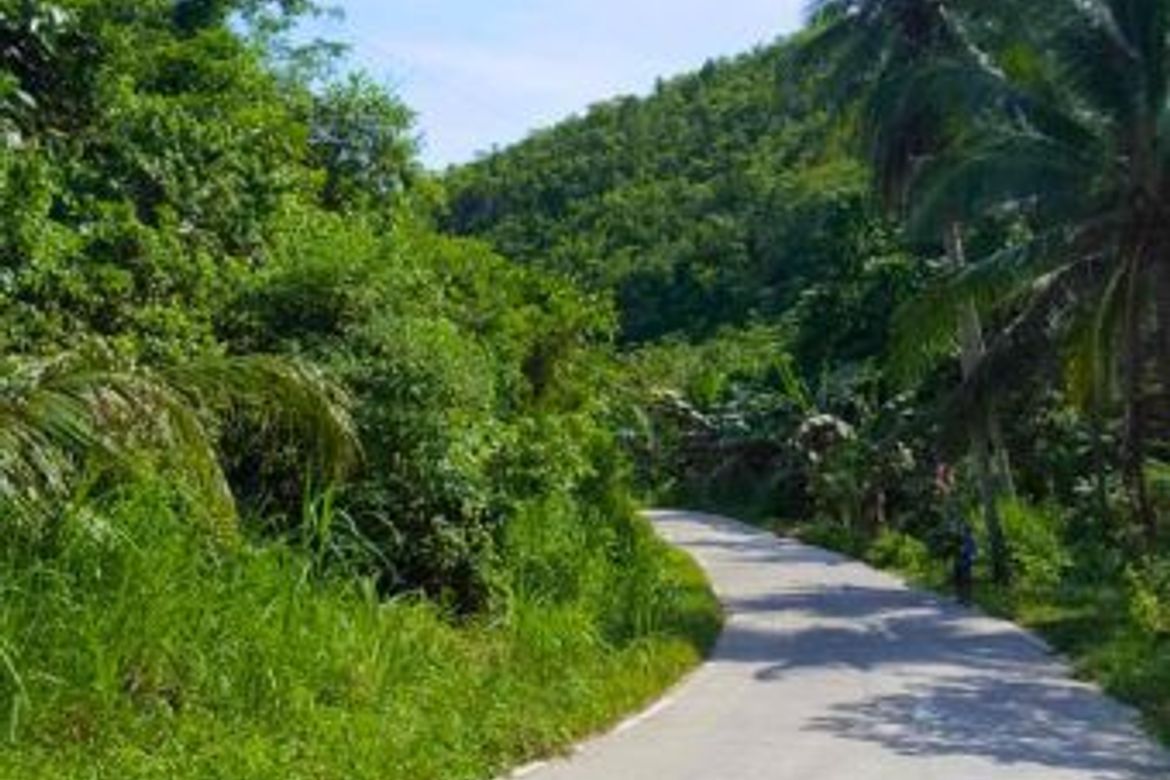 Land for Sale in Bog-O, Asturias, Cebu – photo 5