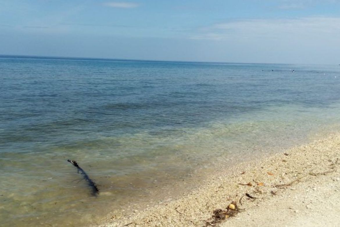 Land for Sale in Bogo, Maria, Siquijor – photo 4