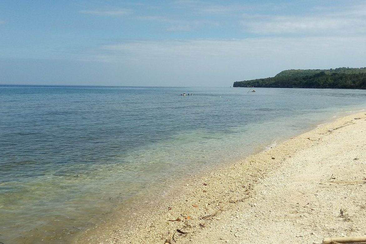 Land for Sale in Bogo, Maria, Siquijor