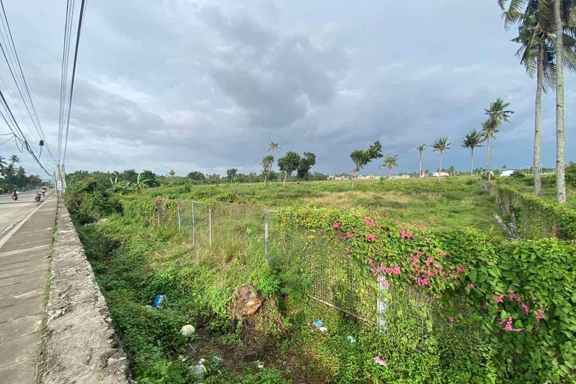 Land for Sale in Bolinawan, Carcar, Cebu – photo 2