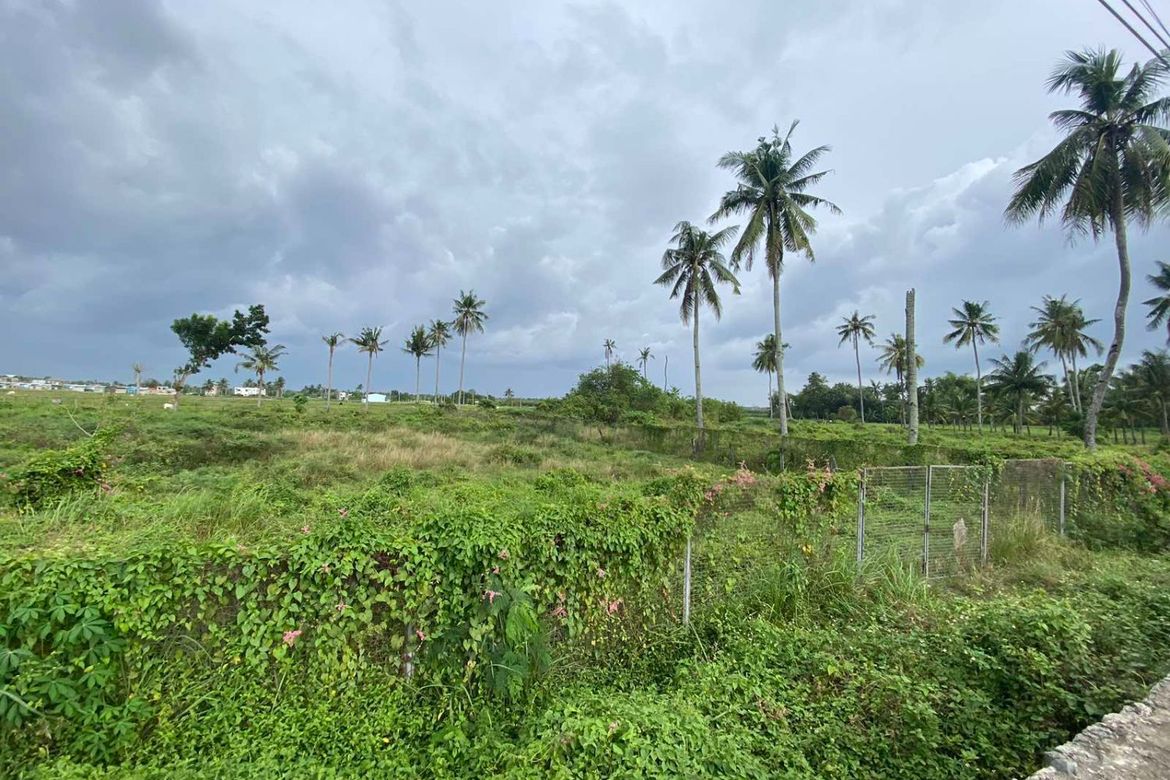 Land for Sale in Bolinawan, Carcar, Cebu – photo 4