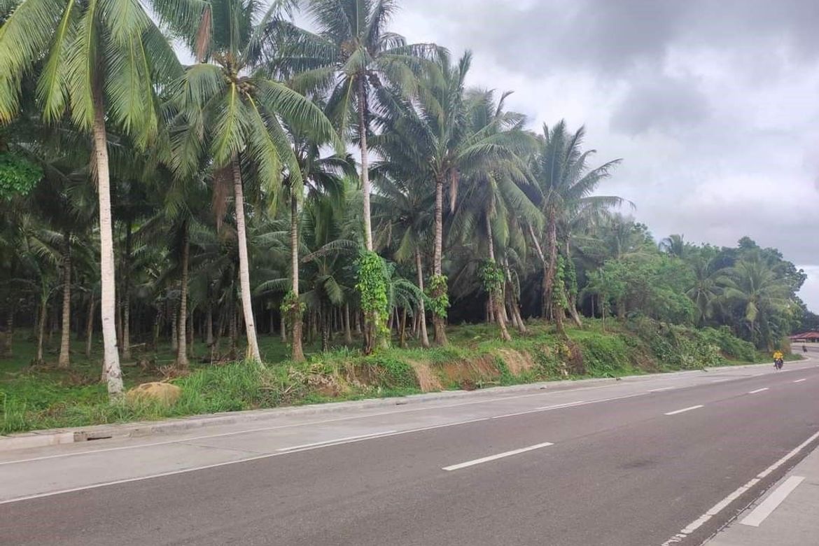 Land for Sale in Bolo Sur, Sipocot, Camarines Sur – photo 3