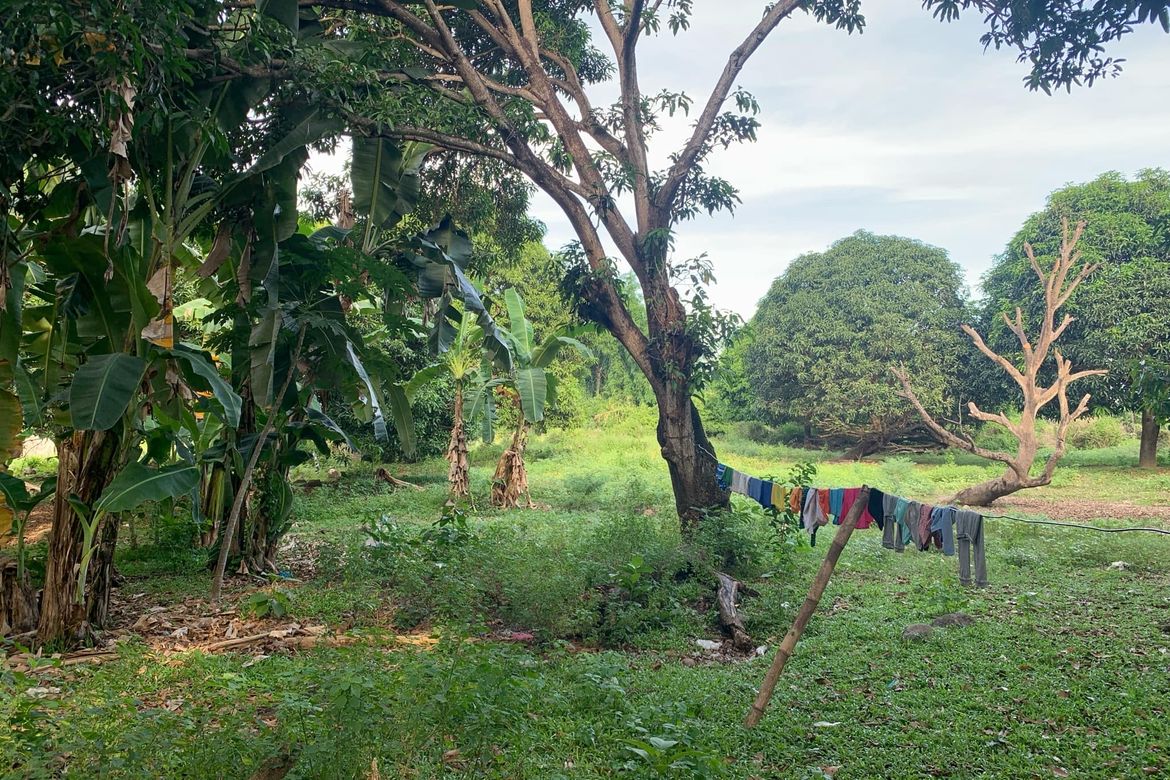 Land for Sale in Bolocboloc, Sibulan, Negros Oriental – photo 3