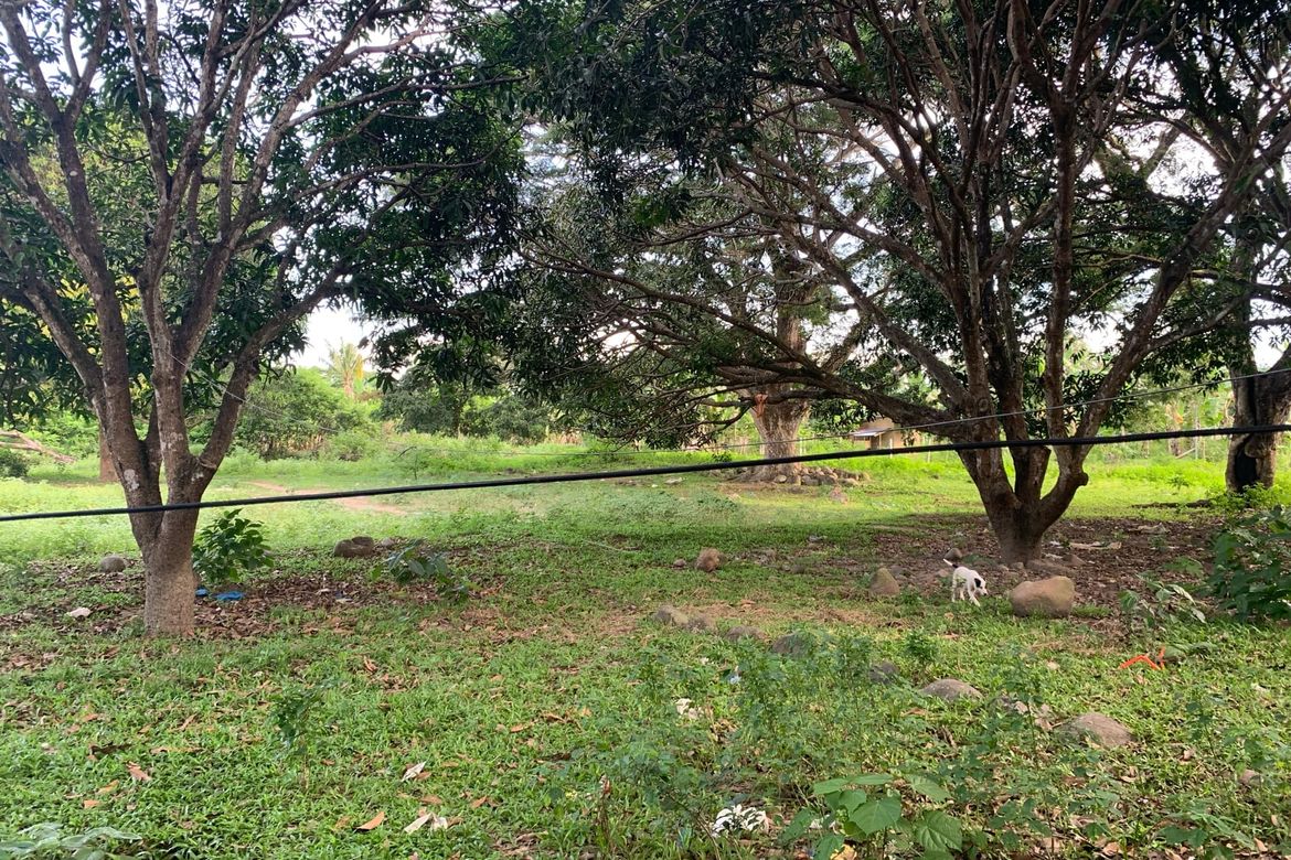 Land for Sale in Bolocboloc, Sibulan, Negros Oriental – photo 4
