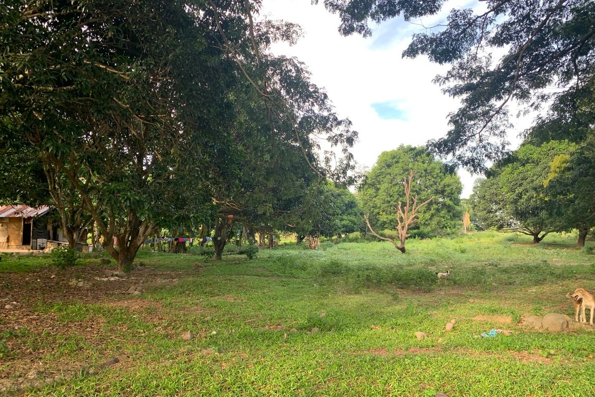 Land for Sale in Bolocboloc, Sibulan, Negros Oriental – photo 5