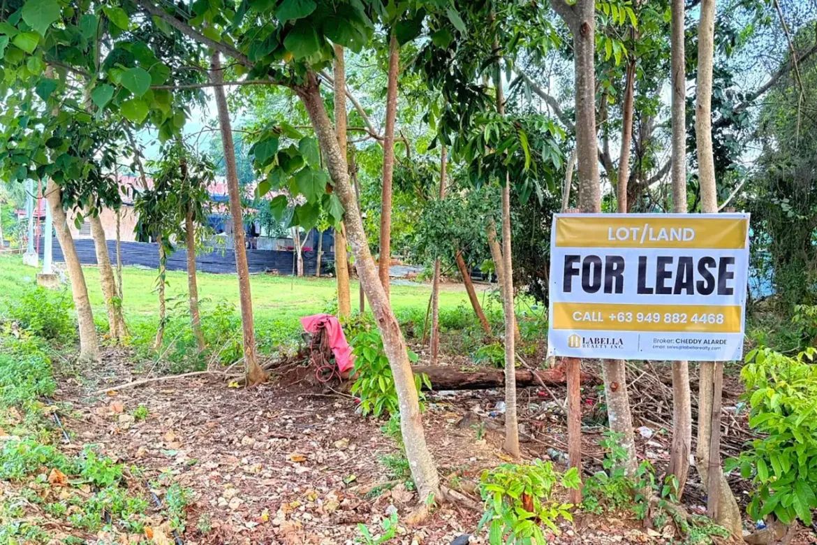 Land for Sale in Bolod, Panglao, Bohol