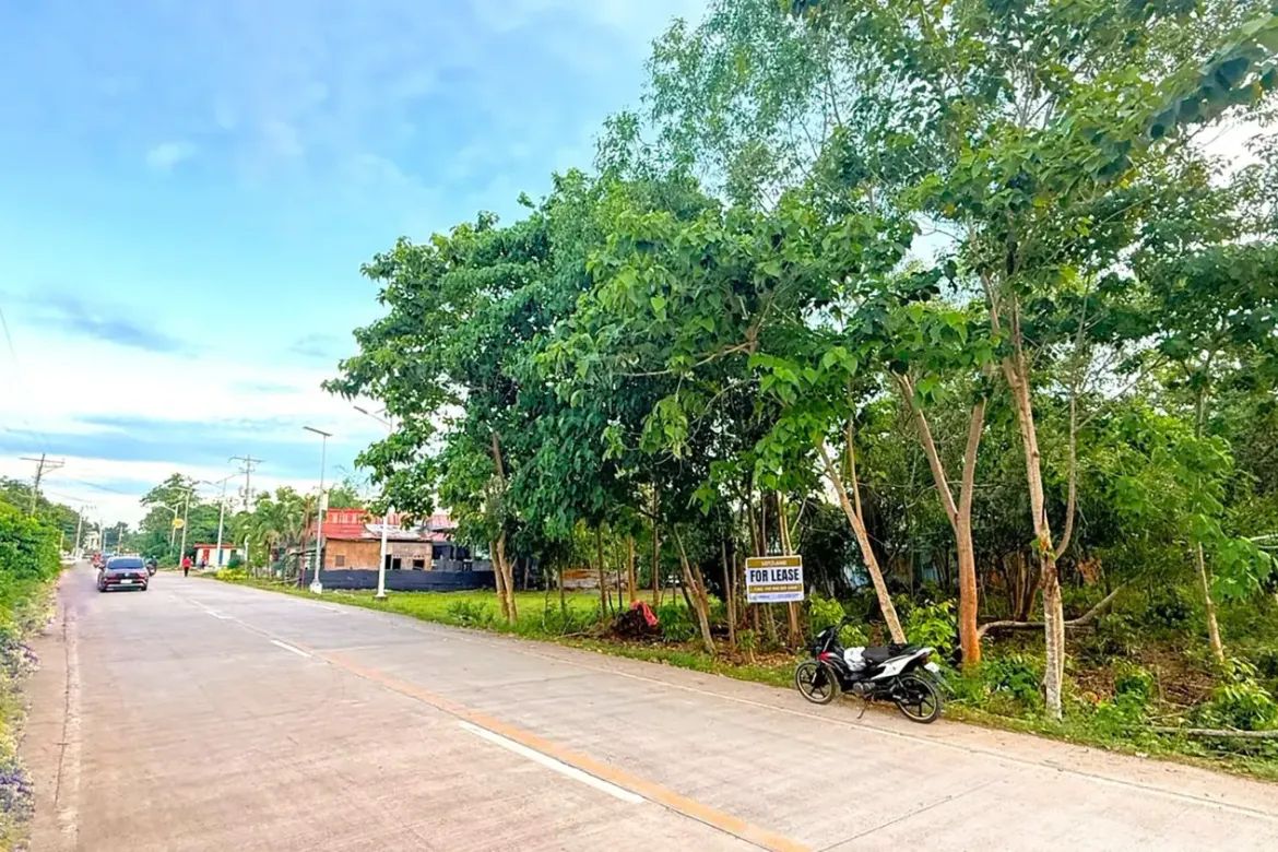 Land for Sale in Bolod, Panglao, Bohol – photo 3