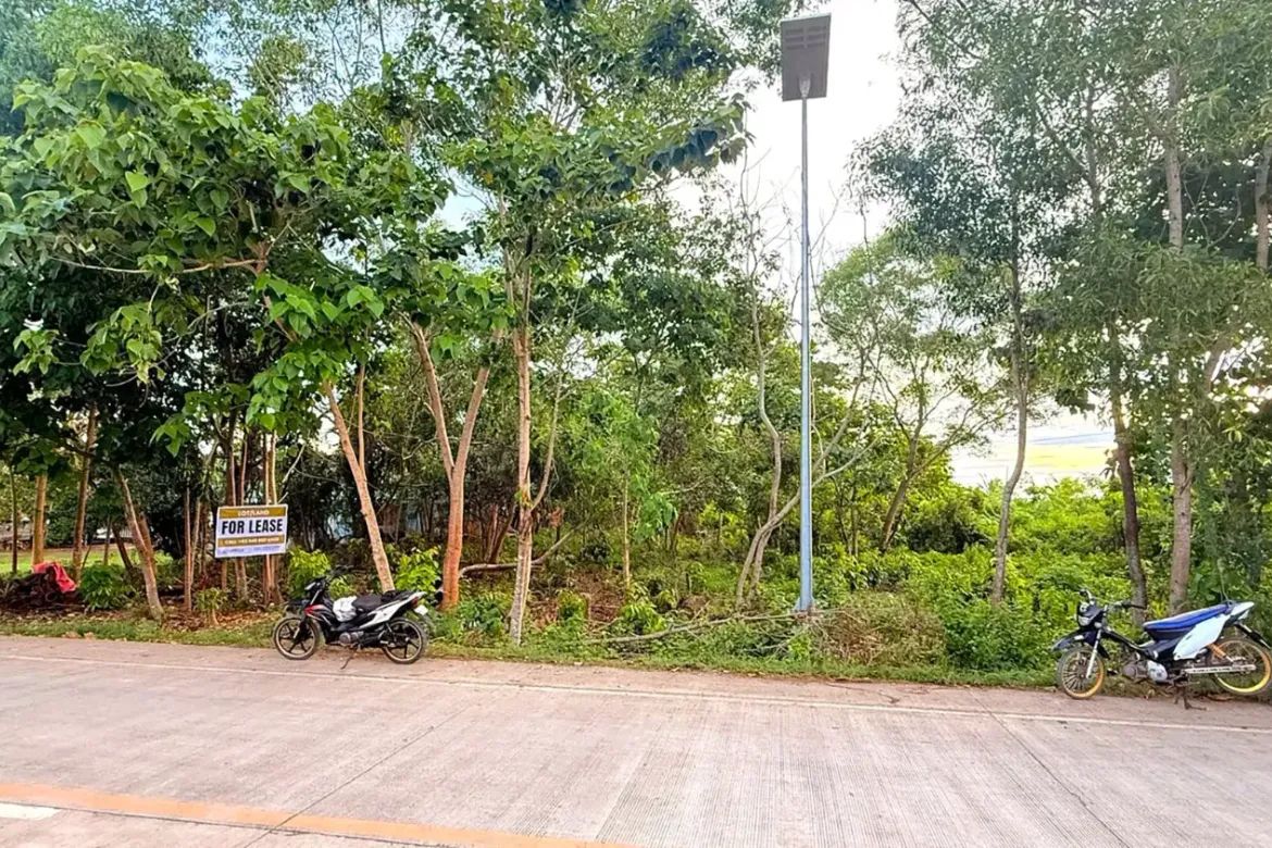 Land for Sale in Bolod, Panglao, Bohol – photo 4