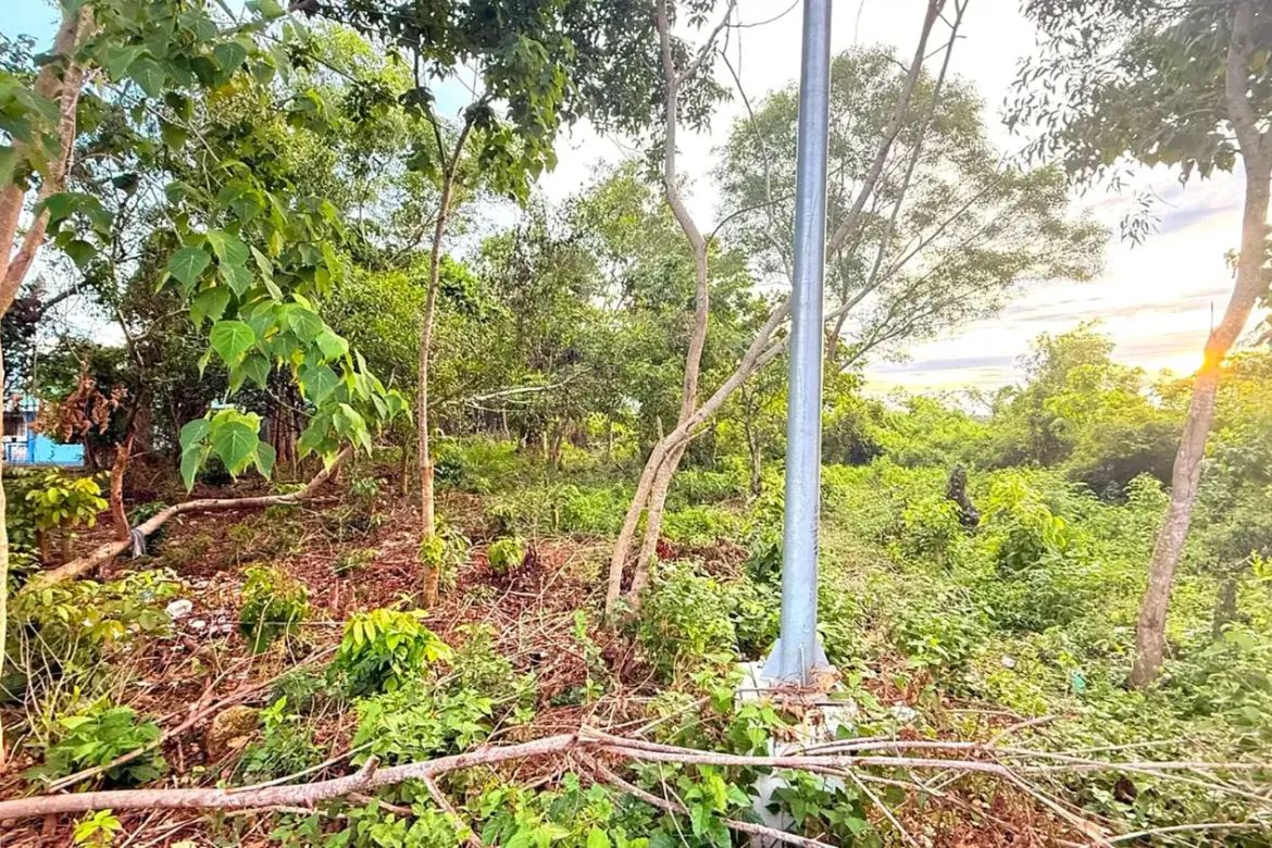 Land for Sale in Bolod, Panglao, Bohol – photo 7