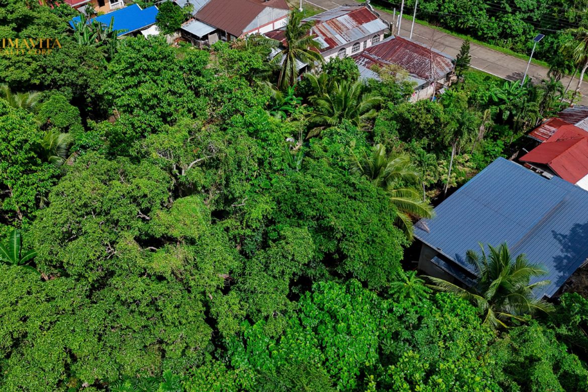 Land for Sale in Bolod, Panglao, Bohol – photo 6