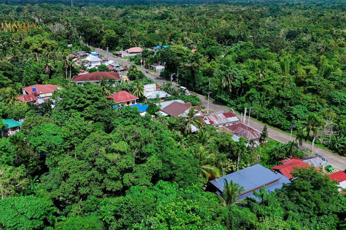 Land for Sale in Bolod, Panglao, Bohol – photo 8