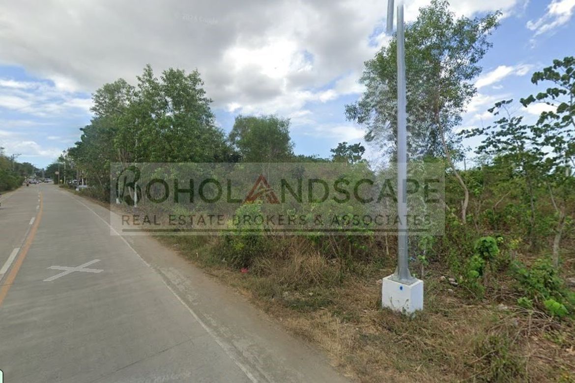 Land for Sale in Bolod, Panglao, Bohol – photo 5