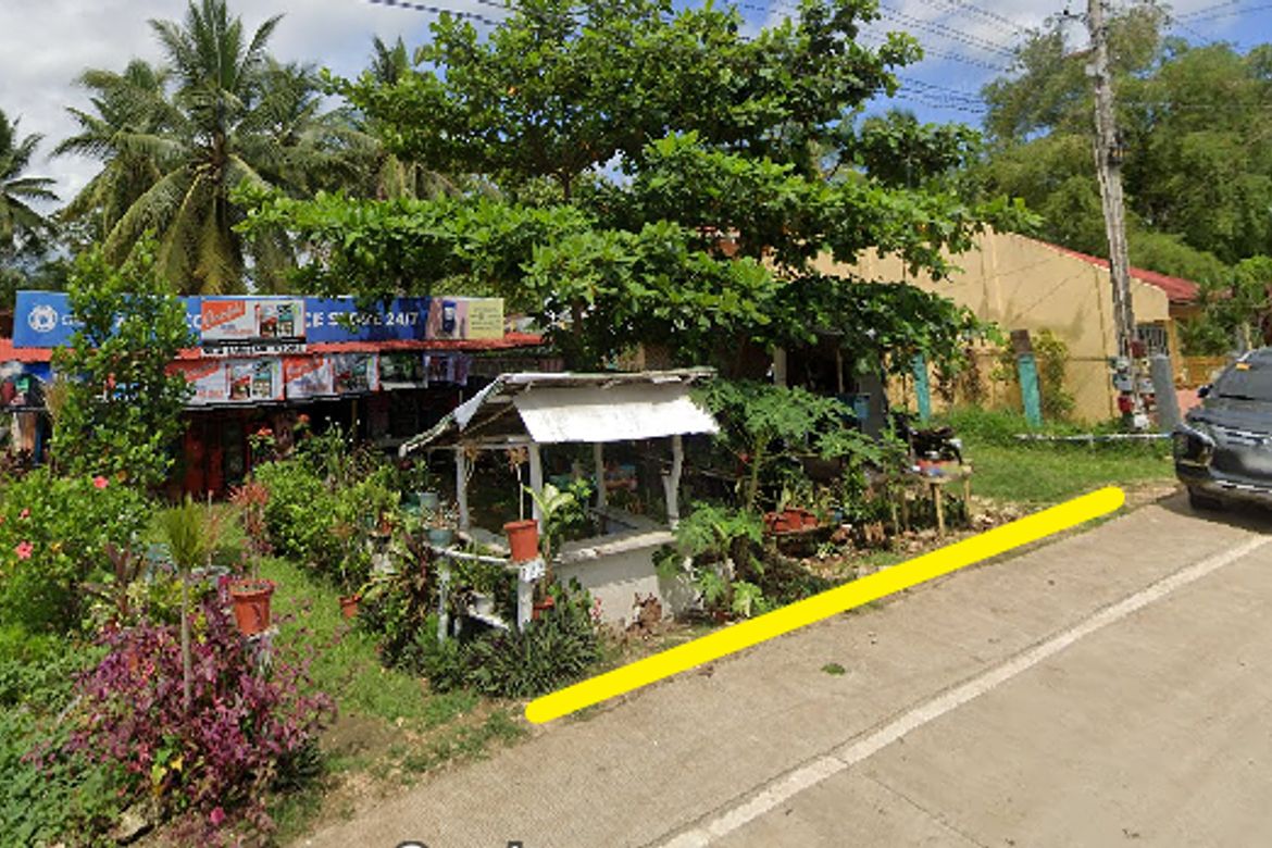 Land for Sale in Bolod, Panglao, Bohol