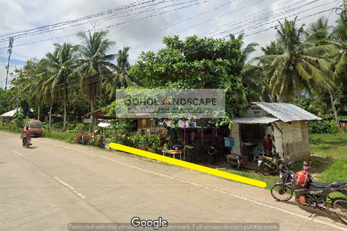 Land for Sale in Bolod, Panglao, Bohol – photo 2