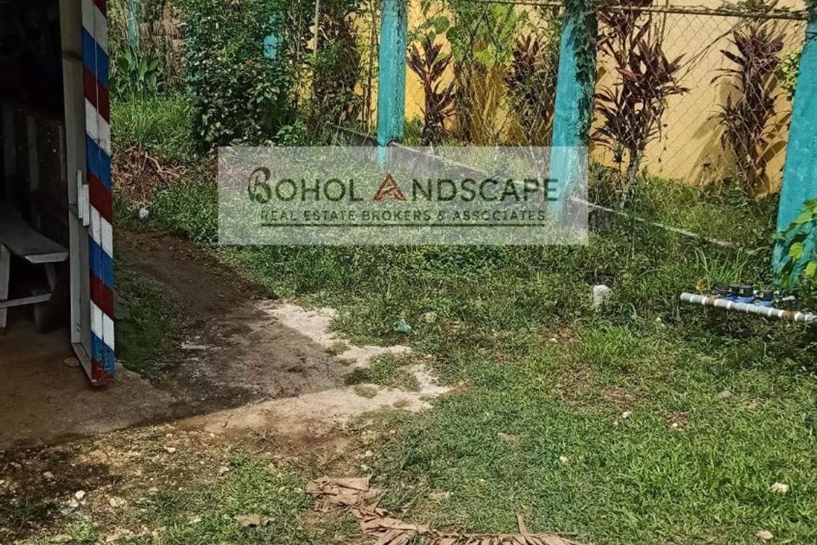 Land for Sale in Bolod, Panglao, Bohol – photo 4
