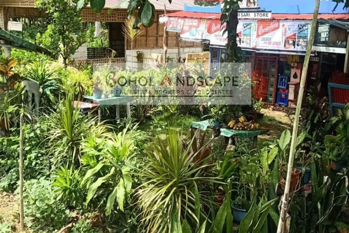 Land for Sale in Bolod, Panglao, Bohol – photo 5