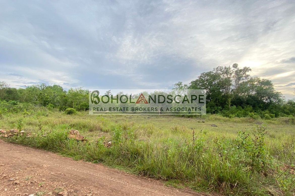Land for Sale in Bolod, Panglao, Bohol