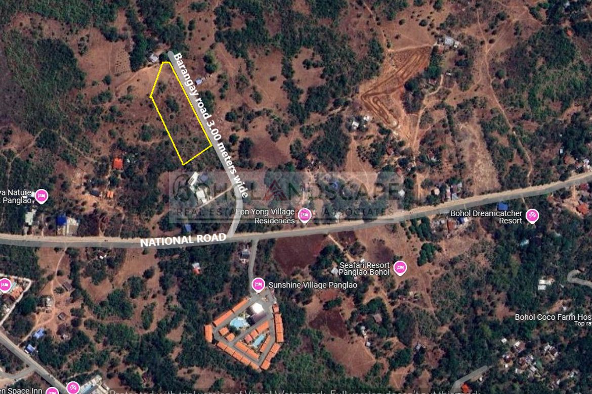 Land for Sale in Bolod, Panglao, Bohol – photo 2