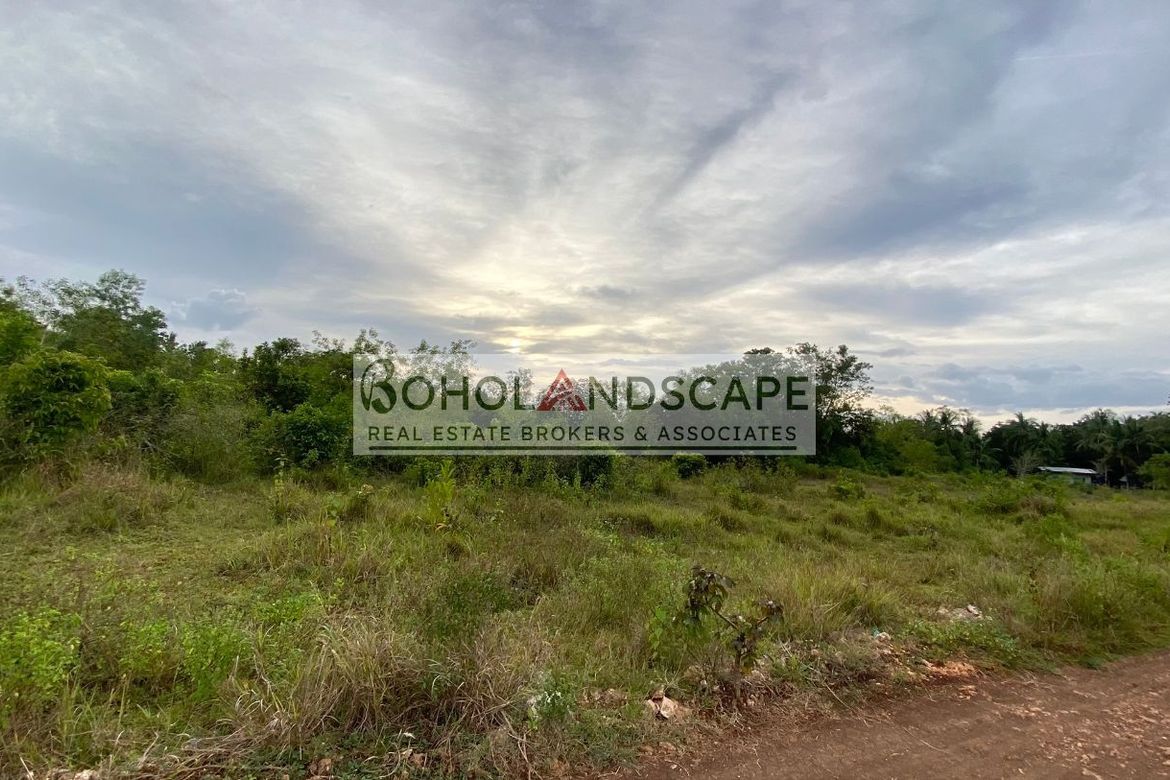 Land for Sale in Bolod, Panglao, Bohol – photo 6