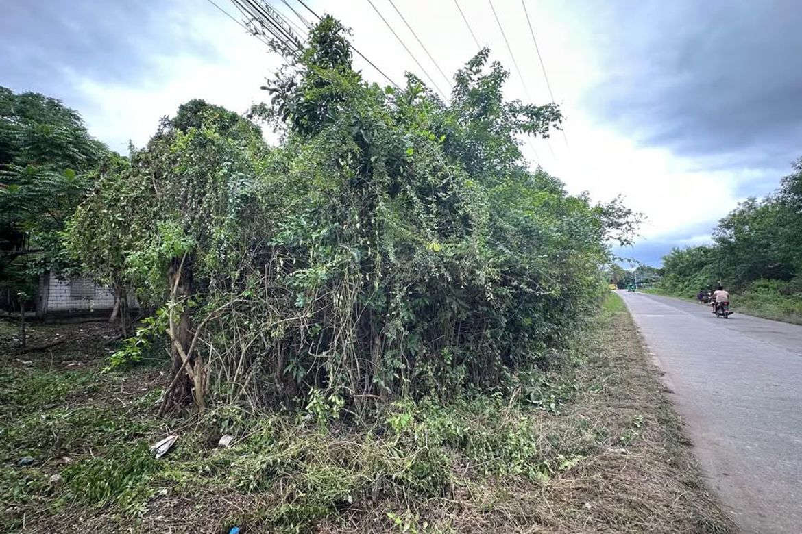 Land for Sale in Bolod, Panglao, Bohol – photo 3