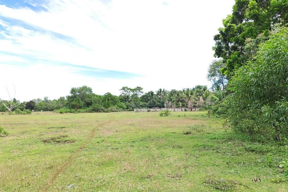 Land for Sale in Bolod, Panglao, Bohol