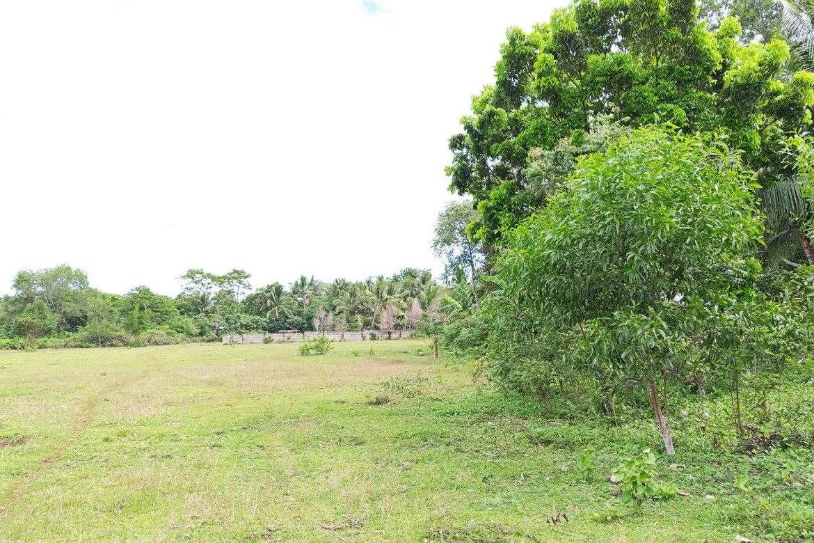 Land for Sale in Bolod, Panglao, Bohol – photo 3